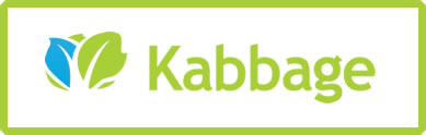 Financing for web development through Kabbage.