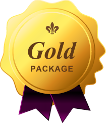 Our Gold Plan website developer package is our most popular Kalamazoo website package.
