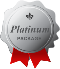 Our Platinum website design package is for complex Kalamazoo websites.