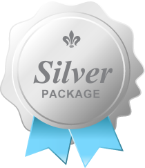 Low price Silver website design package for best websites in Kalamazoo