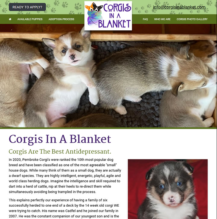 Web Design for Pet Breeders