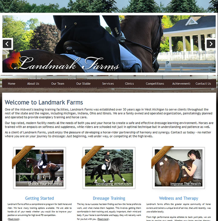 This website markets a great online presence for a Dressage Training School in Kalamazoo, MI.