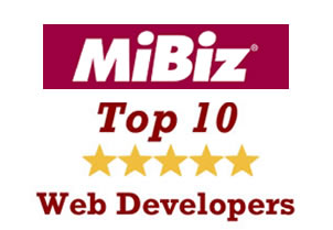 mibiz-award